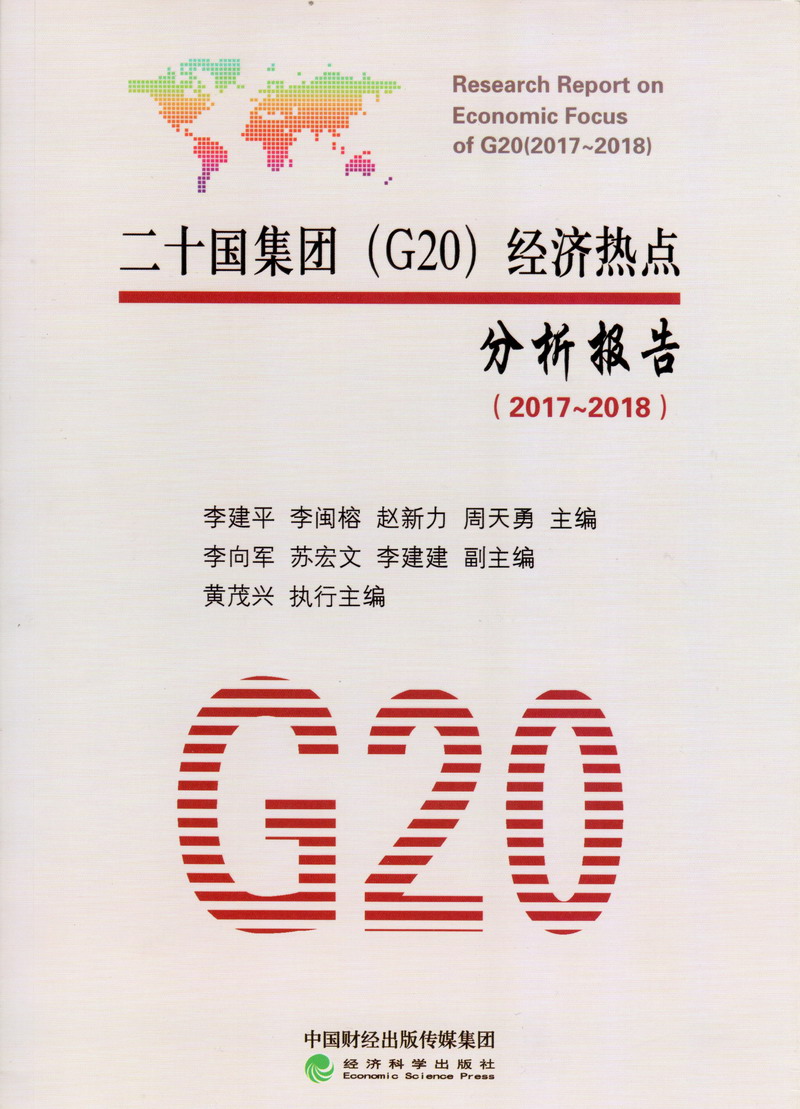 www.要肏屄屄二十国集团（G20）经济热点分析报告（2017-2018）